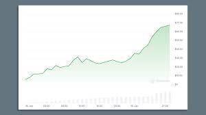 Trump coin price graph