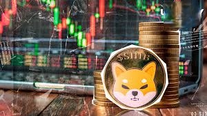 Shiba Inu