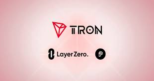 PayPal USD expands Tron network